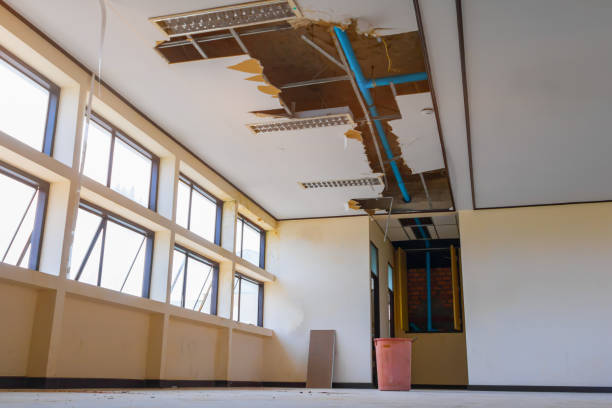 Best Residential water damage restoration  in Lodi, CA