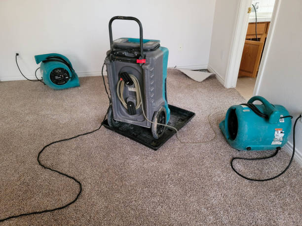Best Water damage restoration mold remediation  in Lodi, CA