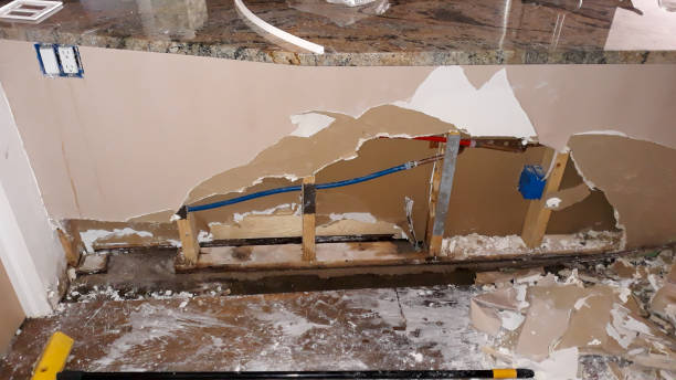 Best Mold removal after water damage  in Lodi, CA