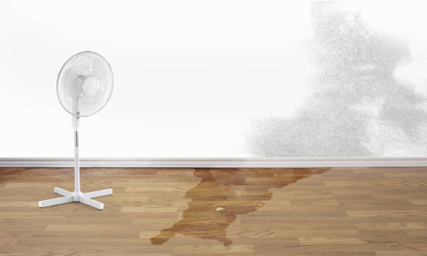 Best Professional water damage repair  in Lodi, CA