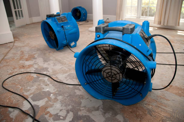 Best 24-hour water damage restoration  in Lodi, CA
