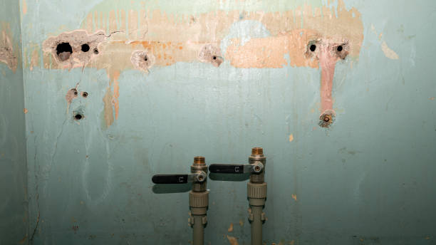 Best Flood restoration services  in Lodi, CA