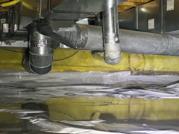 Best Water damage restoration near me  in Lodi, CA